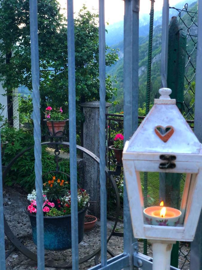 Bed and Breakfast Le Castagne Matte Stenico Екстер'єр фото